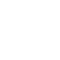 logo-volkswagen-blanc-1